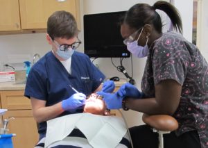 best dentist elk grove village